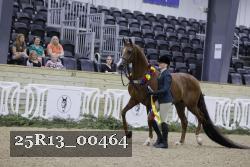 25R13_00464 thumbnail