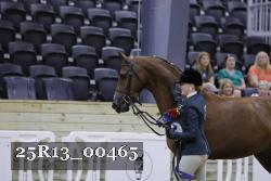 25R13_00465 thumbnail