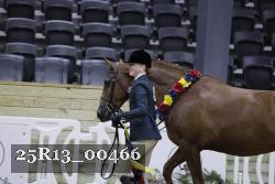 25R13_00466 thumbnail