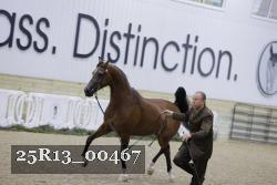 25R13_00467 thumbnail