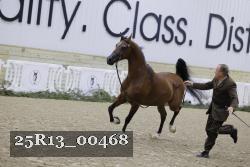 25R13_00468 thumbnail