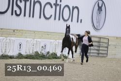 25R13_00469 thumbnail