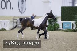 25R13_00470 thumbnail