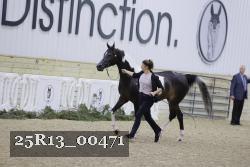 25R13_00471 thumbnail