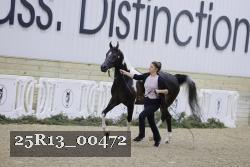 25R13_00472 thumbnail