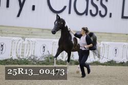 25R13_00473 thumbnail