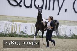 25R13_00474 thumbnail