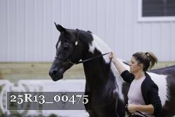 25R13_00475 thumbnail