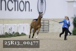 25R13_00477 thumbnail