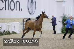 25R13_00478 thumbnail