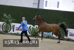 25R13_00481 thumbnail