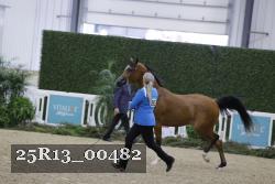 25R13_00482 thumbnail