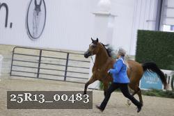 25R13_00483 thumbnail
