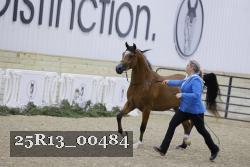 25R13_00484 thumbnail