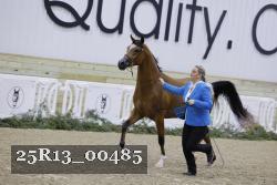 25R13_00485 thumbnail