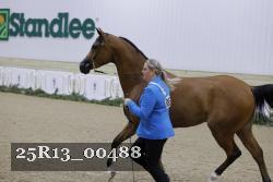 25R13_00488 thumbnail