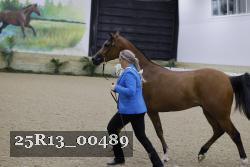 25R13_00489 thumbnail
