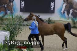 25R13_00490 thumbnail
