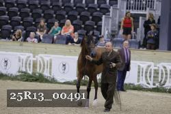25R13_00491 thumbnail