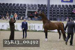 25R13_00492 thumbnail