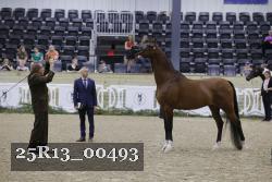 25R13_00493 thumbnail