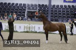 25R13_00494 thumbnail