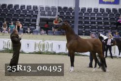 25R13_00495 thumbnail