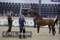 25R13_00496 thumbnail