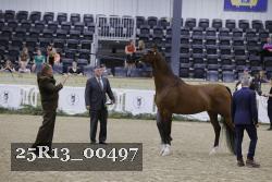 25R13_00497 thumbnail
