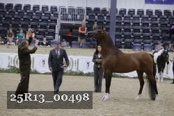 25R13_00498 thumbnail