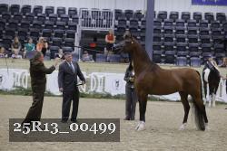 25R13_00499 thumbnail