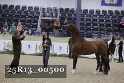 25R13_00500 thumbnail