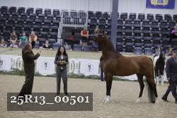 25R13_00501 thumbnail