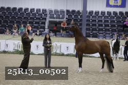 25R13_00502 thumbnail