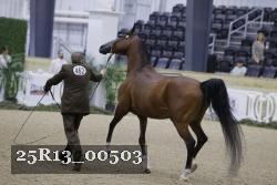 25R13_00503 thumbnail