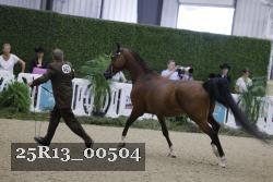 25R13_00504 thumbnail