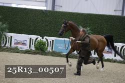 25R13_00507 thumbnail