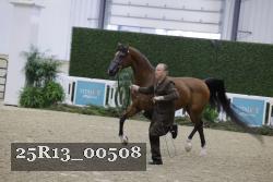 25R13_00508 thumbnail