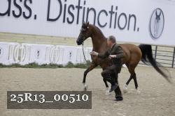 25R13_00510 thumbnail