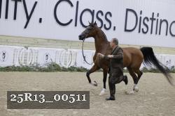 25R13_00511 thumbnail