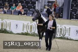25R13_00513 thumbnail