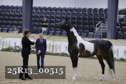 25R13_00515 thumbnail