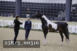 25R13_00516 thumbnail