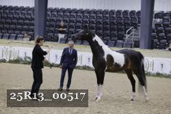 25R13_00517 thumbnail