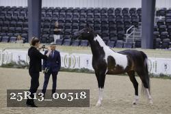 25R13_00518 thumbnail