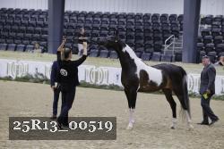 25R13_00519 thumbnail