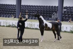 25R13_00520 thumbnail