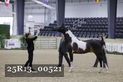 25R13_00521 thumbnail
