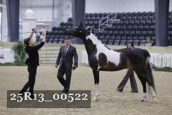25R13_00522 thumbnail