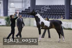 25R13_00523 thumbnail